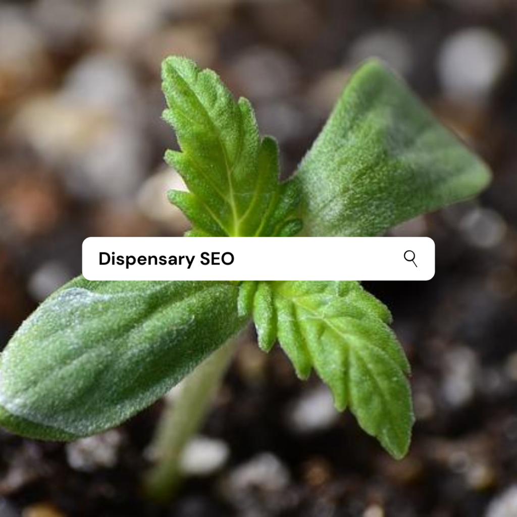 Dispensary SEO